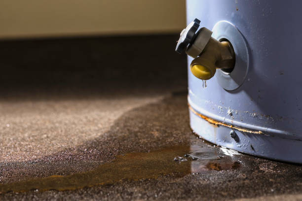 Best Water damage restoration near me  in Wilkes Barre, PA
