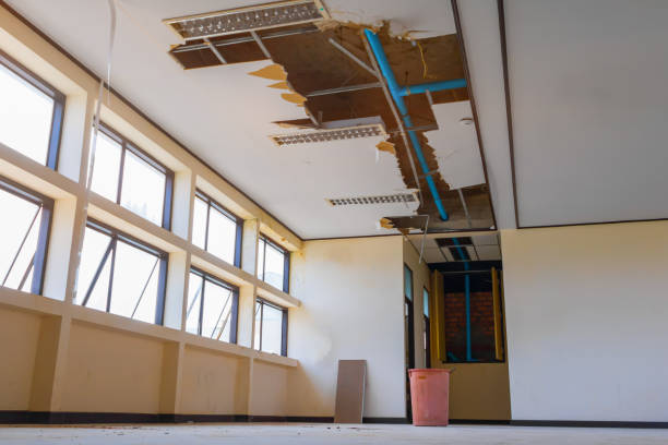 Best 24/7 water damage repair  in Wilkes Barre, PA