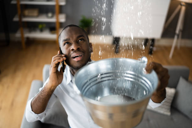 Best Flood restoration services  in Wilkes Barre, PA
