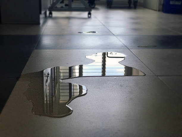 Best Water damage restoration near me  in Wilkes Barre, PA
