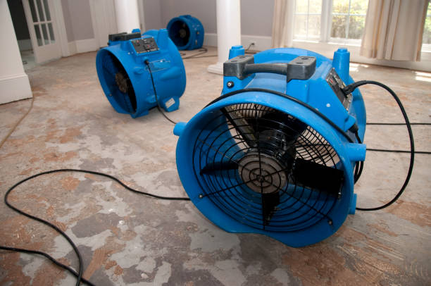 Best 24-hour water damage restoration  in Wilkes Barre, PA