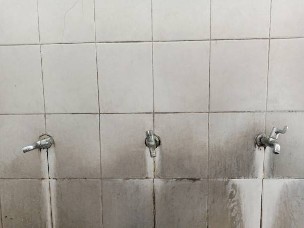 Best Emergency water damage restoration  in Wilkes Barre, PA