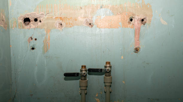 Best Water damage contractors near me  in Wilkes Barre, PA