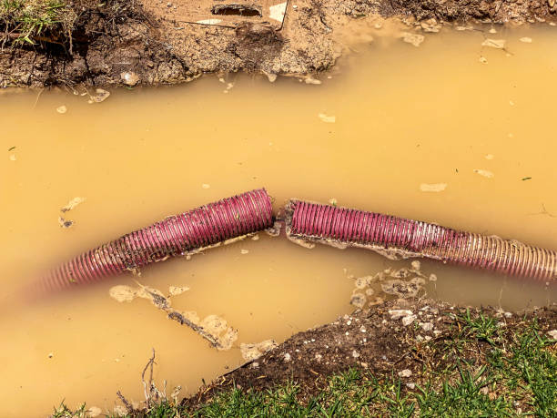 Best Basement water damage restoration  in Wilkes Barre, PA